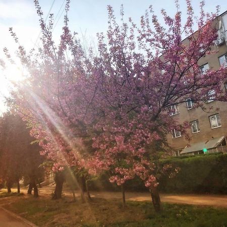 Арт Квартира В Центрі Міста 乌日霍罗德 外观 照片